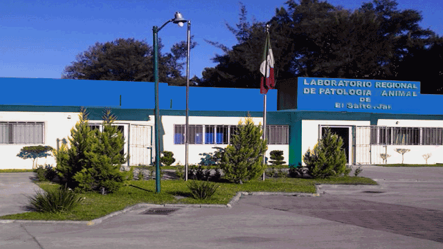 Laboratorio Regional de Patología Animal de El Salto, Jalisco (DISISA)